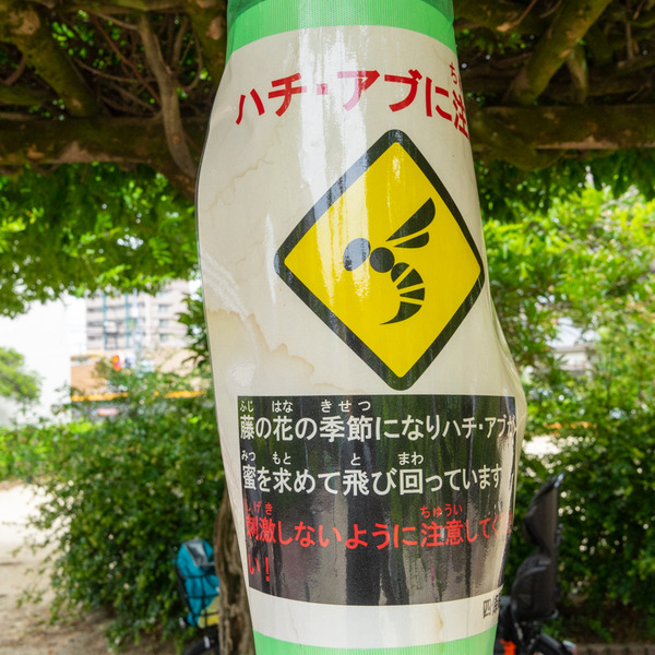 蜻蛉池公園-21081120