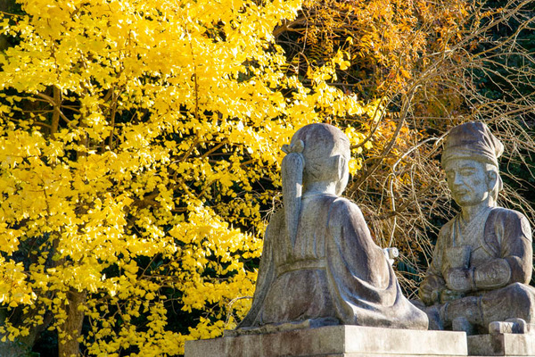 四條畷神社紅葉-2111298