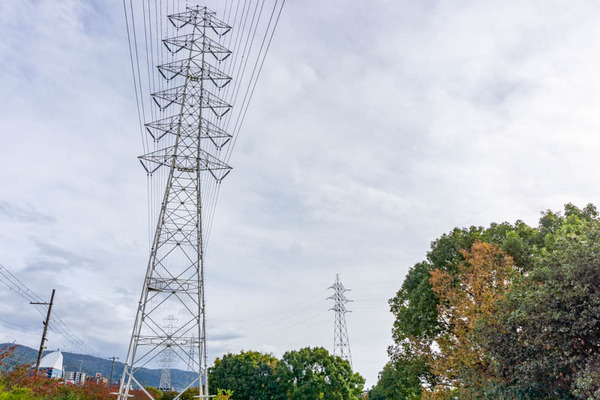 深北緑地電線-2111081