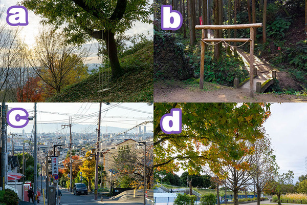 クイズどこでしょう-1