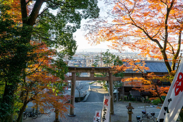 四條畷神社紅葉-21112917