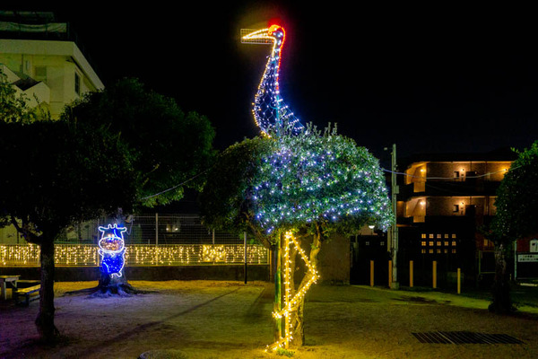 北条公園イルミネーション-2110054