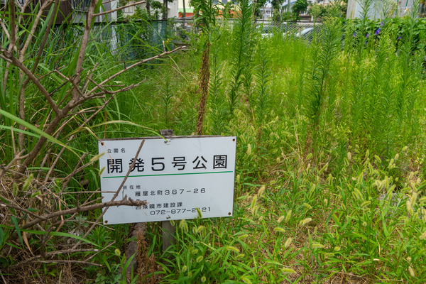 開発5号公園-2108111