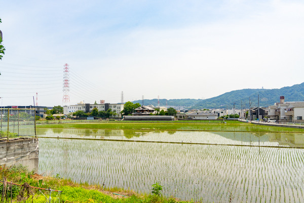 マイナポイント-2106081