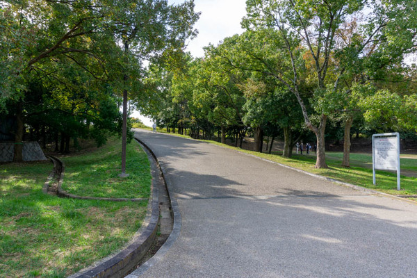 深北緑地-2111041