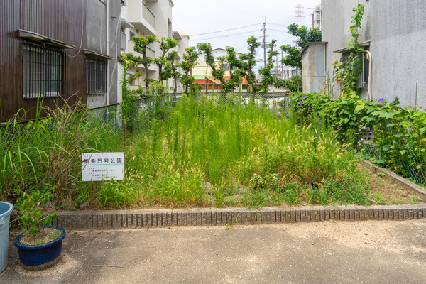 開発5号公園-2108112