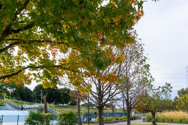 深北緑地クイズ-2111081