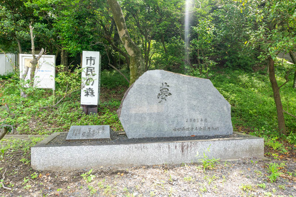 四條畷神社紫陽花-2106082