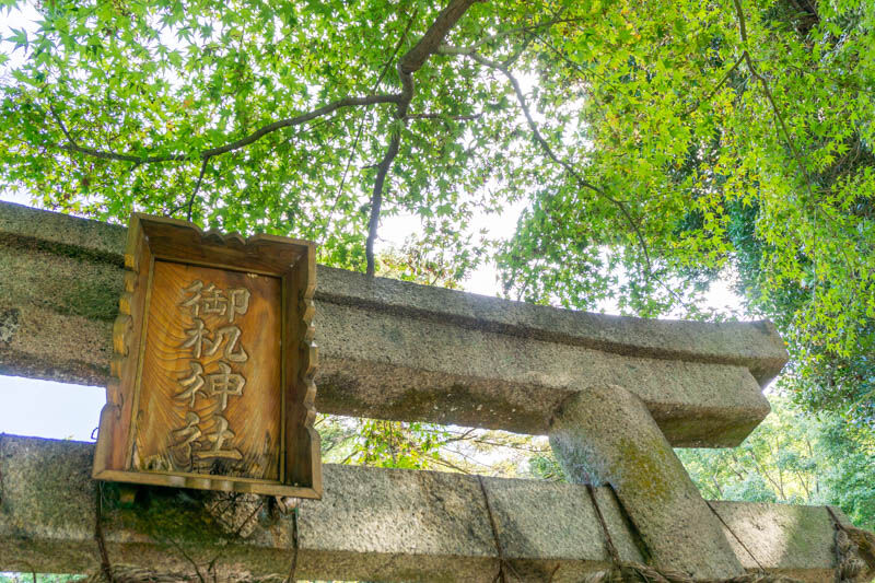 御机神社の紅葉状況 なわつーフォト 四條畷つーしん