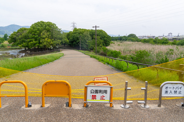 深北緑地-2105254