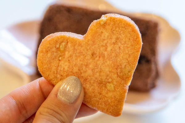 makeecafe20240123150223