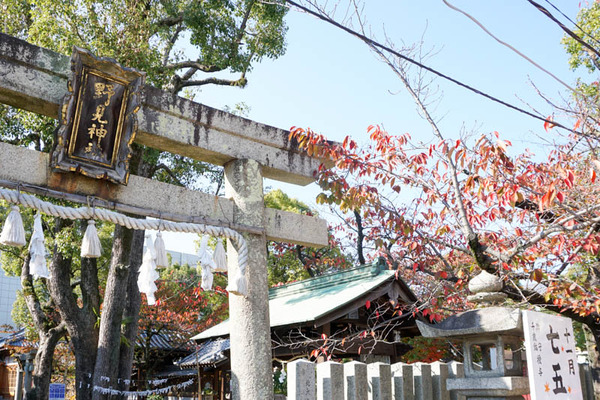 野見神社-202211107