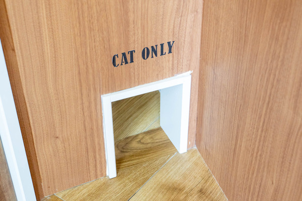 cherish20240417113635