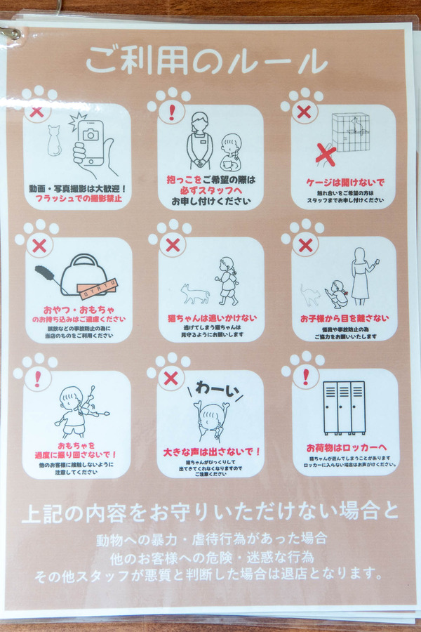 cherish20240417113159