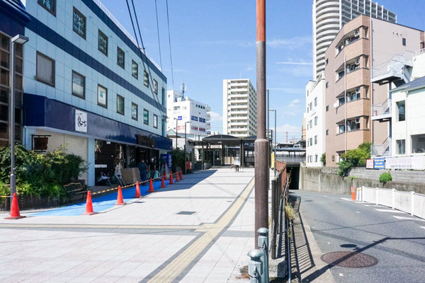 つぼみ-202209162