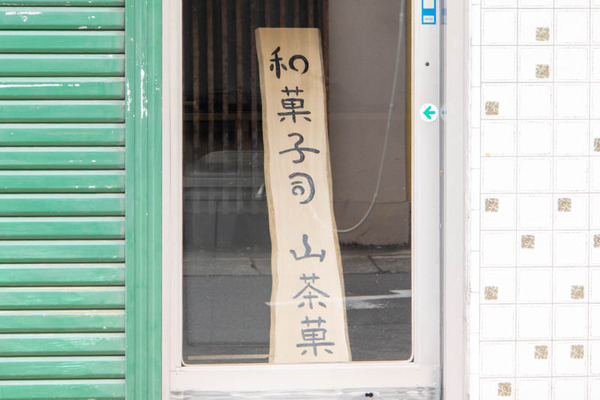 山茶花20250328105743