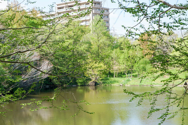 上の池公園-2022041710