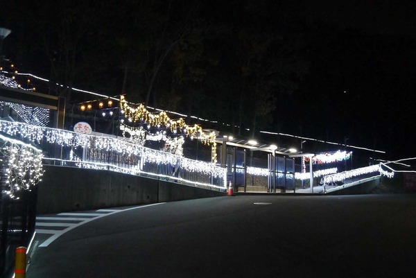20201118irumi1