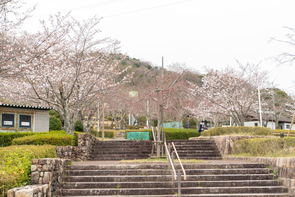 摂津峡20240402165934