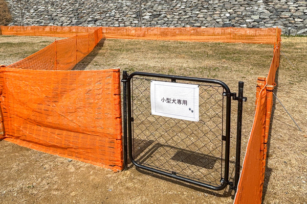 ドッグラン7