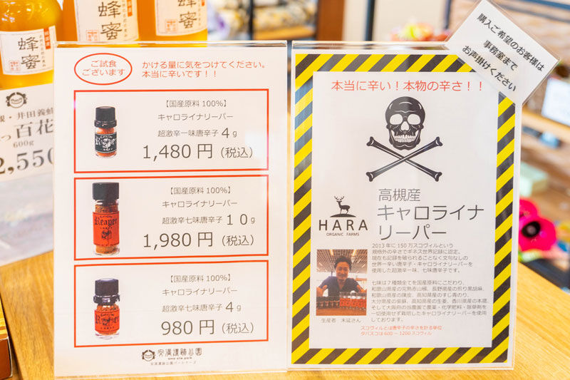 高槻産の世界一辛い唐辛子 キャロライナリーパー 買いました 高槻つーしん 高槻産の世界一辛い唐辛子 キャロライナリーパー 買いました 高槻つーしん