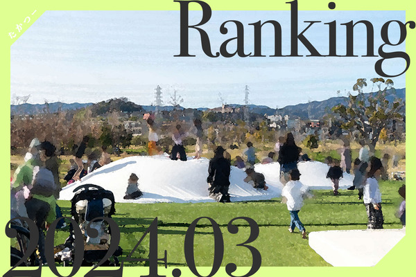 アクセス解析2024