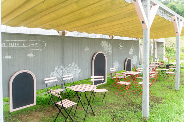 THEFARM20230822103847