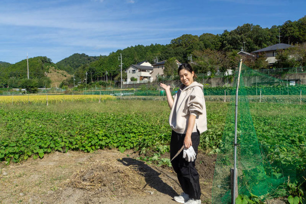 芋掘り20231013140621