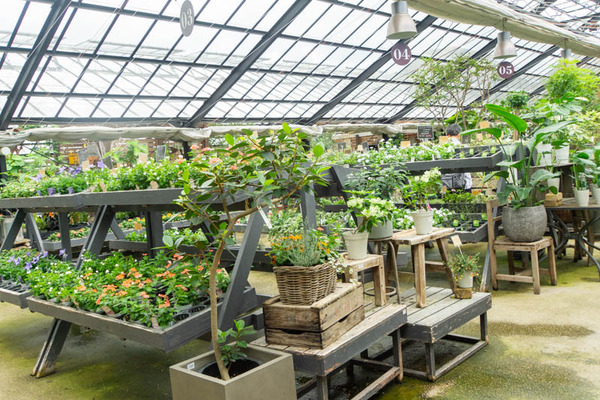 THEFARM20230822110024