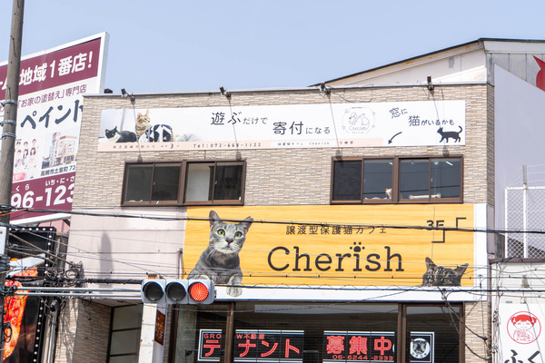 cherish20240417114208