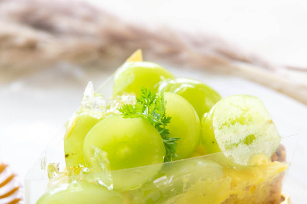 coconomi20230918125829