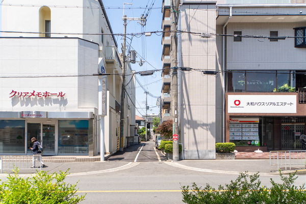 merryplants20240619103332