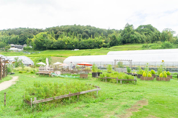 THEFARM20230822103651