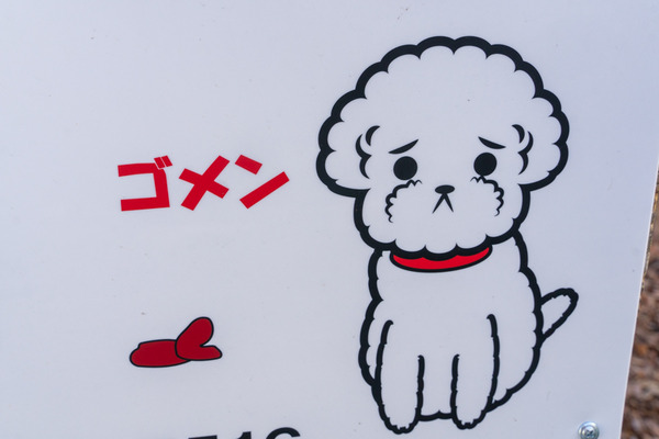 ゴメン-2101292