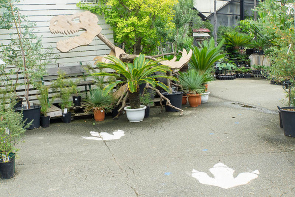 THEFARM20230822112528