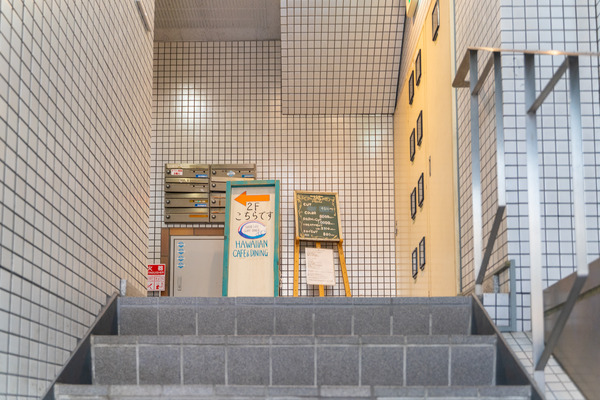 ハワイアン-2101131