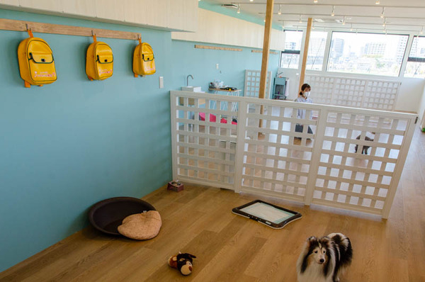 安満遺跡公園20210324103639