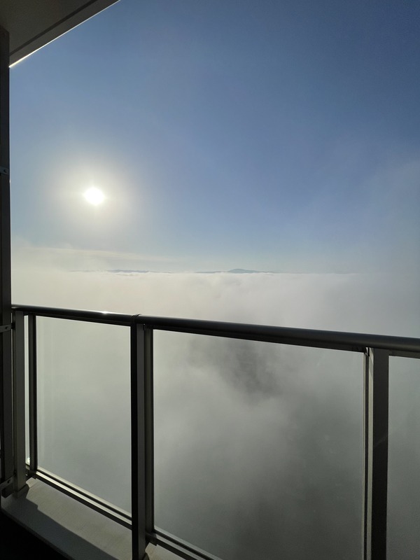 7720E8CC-B4E9-4922-B411-C39B8153C7D8