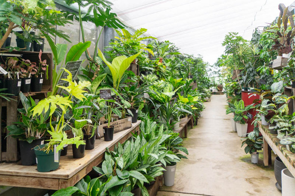 THEFARM20230822112659