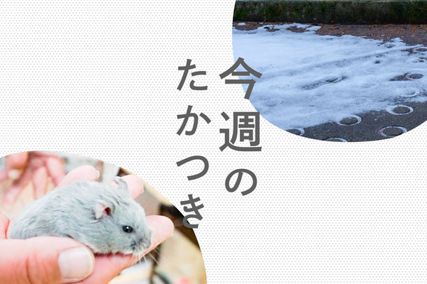 今週のたかつき2022