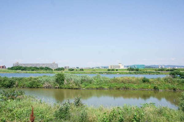 三島江地区河川敷公園-2022060233