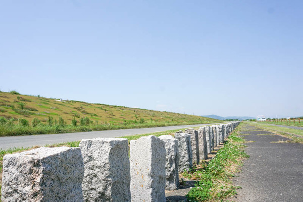 三島江地区河川敷公園-202206026