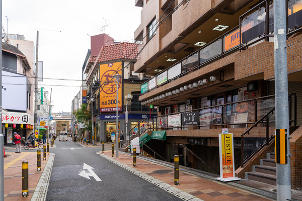 なでしこ-2011111