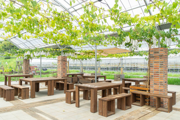 THEFARM20230822102936