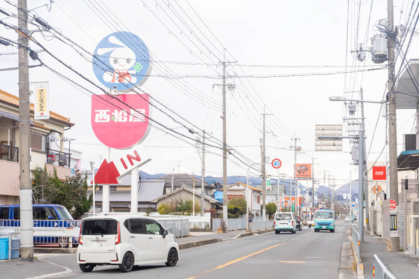 ドラッグコスモス-2101071