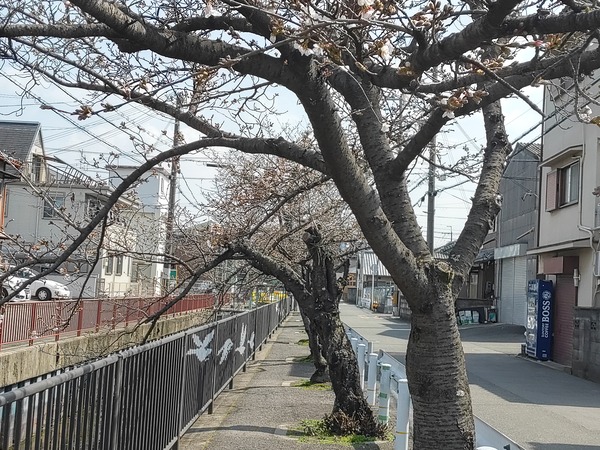 IMG_20240330_102703_1