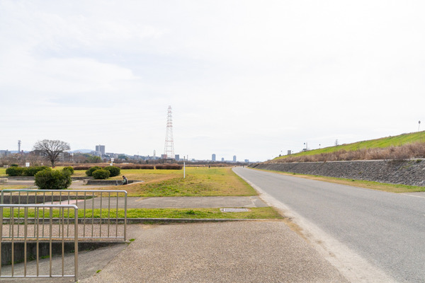 野草迷路-21012612