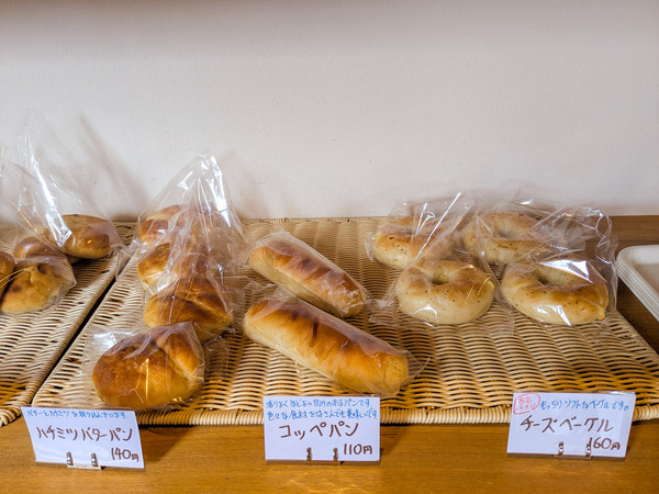 PXL_20250307_030855394 (1)