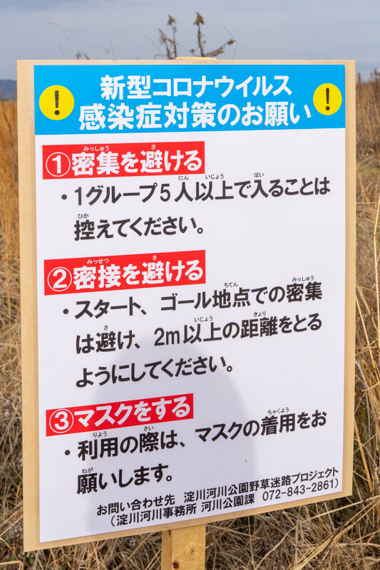 野草迷路-2101267