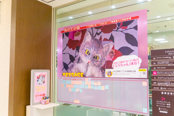 ミクちゃん-2311087